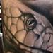 Tattoos - Snake - 65517